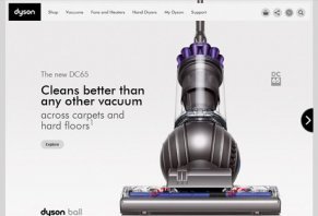 Dyson DC65 Reviews - Is it a Scam or Legit?