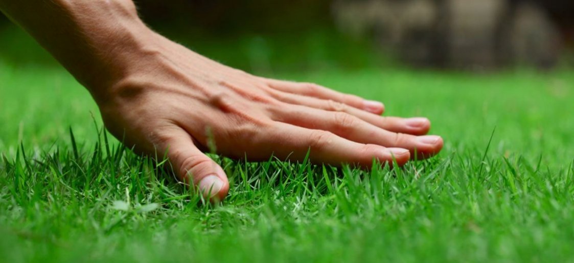 5 Tips For Achieving the Greenest Grass on the Block this Spring 5 Tips For Achieving the Greenest Grass on the Block this Spring