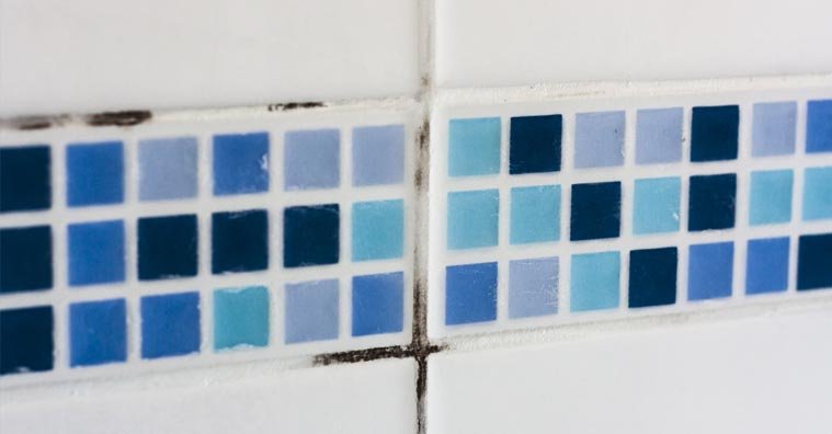6 Ways To Prevent Winter Mold And Mildew In Your House
