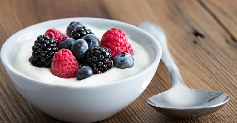 Probiotics 101: A Beginner’s Guide