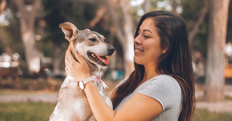 Dog Supplements 101: A Detailed Beginner’s Guide Dog Supplements 101: A Detailed Beginner’s Guide