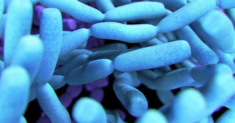 Should You Take Probiotics