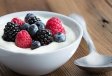 Probiotics 101: A Beginner’s Guide