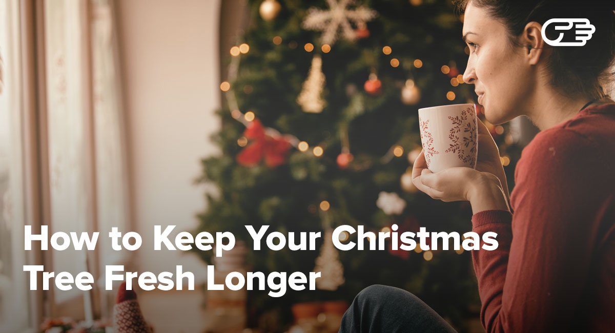 how to keep your christmas tree alive fresh green longer how to keep your christmas tree alive fresh green longer