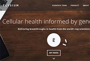 Basis by Elysium Basis by Elysium