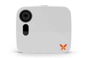 Butterfleye Butterfleye