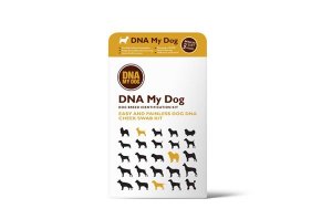 DNA My Dog DNA My Dog