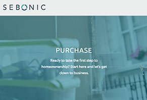 Sebonic Financial Sebonic Financial