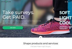 Survey Junkie Survey Junkie