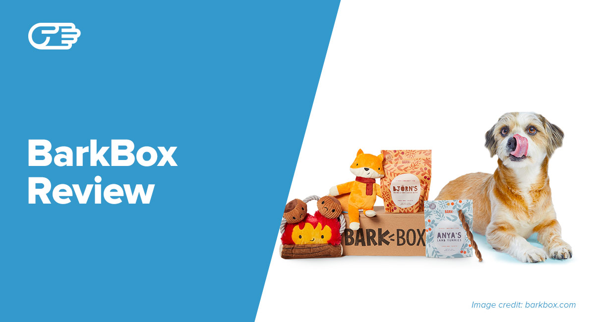heady bear barkbox