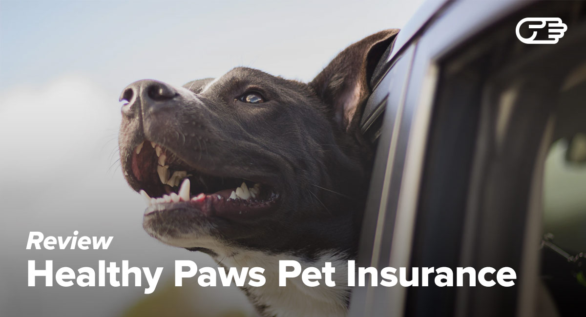 Healthy Paws Pet Insurance Reviews - Is It Worth It?
