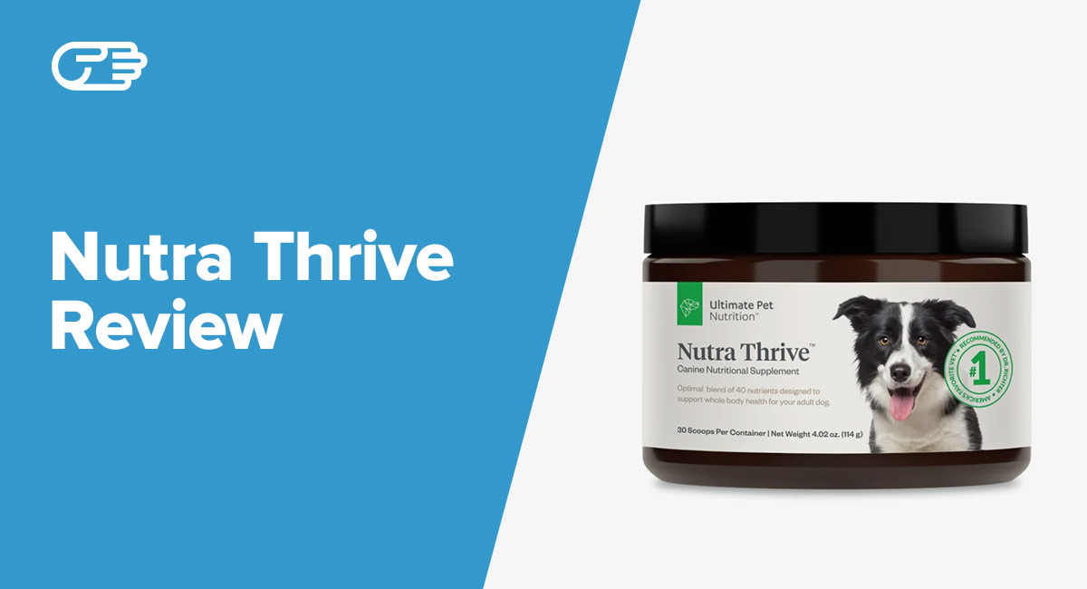 nutra thrive supplement for dogs