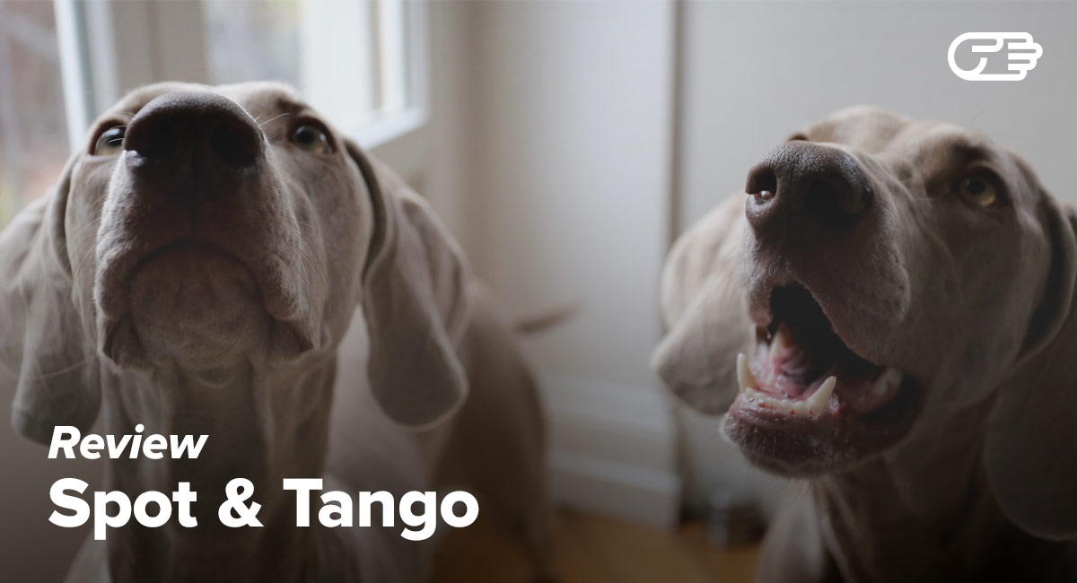 Spot & Tango Review What You Should Know