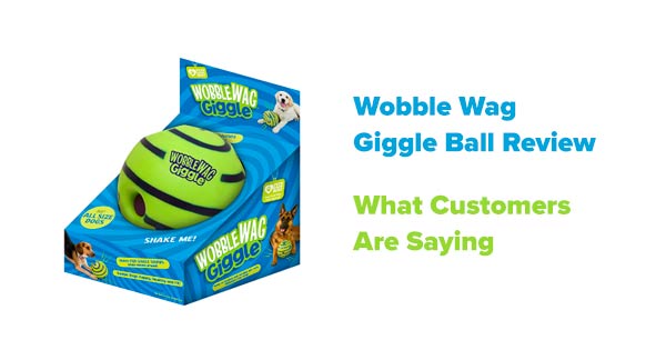 wobble wag giggle ball reviews
